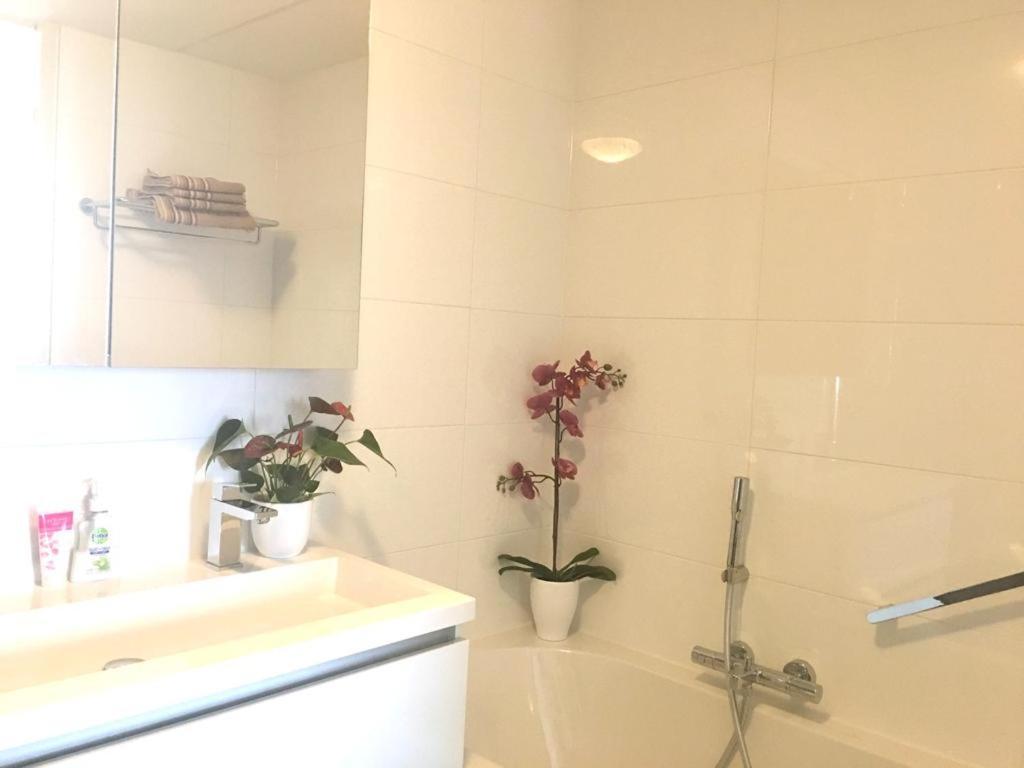 Home Inn Zandvoort The First Floor, 4 Persons, 2 Bedrooms, Free Parking Exterior foto
